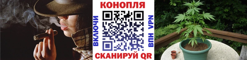 darknet Telegram  Кунгур  Каннабис White Widow 
